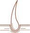 categoryicon