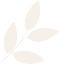 hero leaf 3