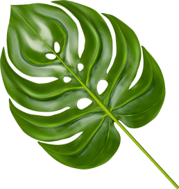 leaf 1 8